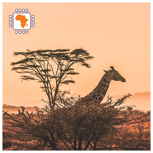 eSIM Afrika 3GB (15 dagen)