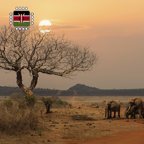 Kenia onbeperkt opwaarderen (30 dagen)