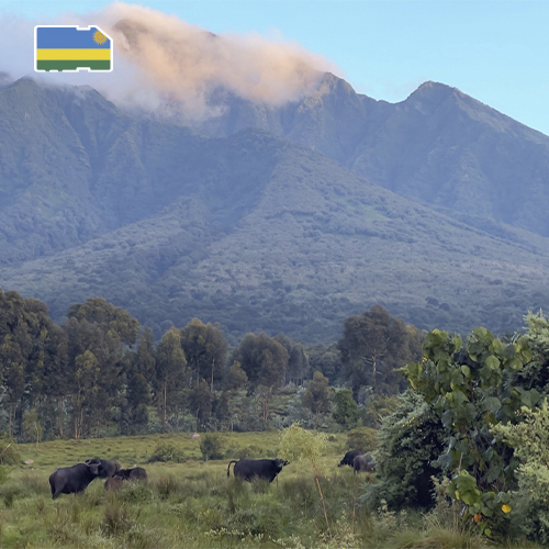 [WW_901O_STACK_ONEOFF_RWANDA_25GB_30D] De naam Rwanda is verborgen (30 december)