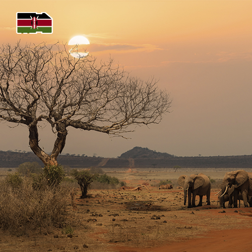 [WW_901O_STACK_ONEOFF_KENYA_UNLIMITED_30D_FUP60] Data SIM-kaart Kenia Onbeperkt (30 dagen)