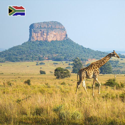 [WW_901O_STACK_ONEOFF_ZAF_3GB_15D] Data SIM-kaart Zuid-Afrika 3GB (15 dagen)
