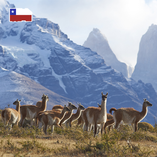 [WW_901O_STACK_ONEOFF_CHILE_3GB_15D] Data SIM-kaart Chili 3GB (15 dagen)