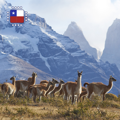 [WW_901O_STACK_ONEOFF_CHILE_25GB_30D] eSIM Chili - 25GB